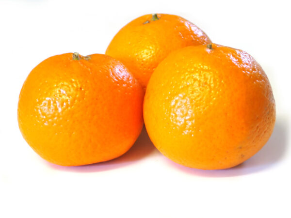 Navel Orange